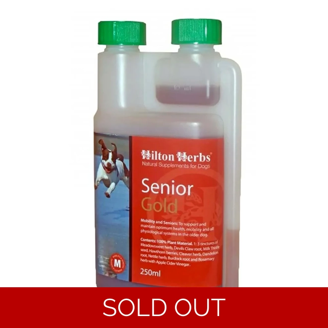 product Image for Hilton Herbs Senior Dog Gold 500ml